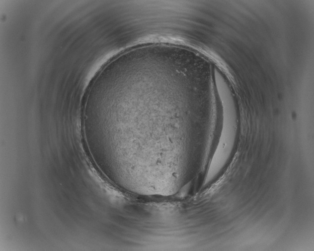 X0000068900896200605081342