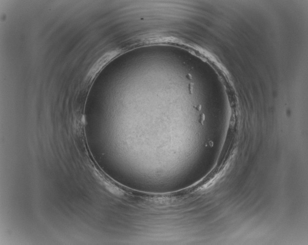 X0000068900897200605081342