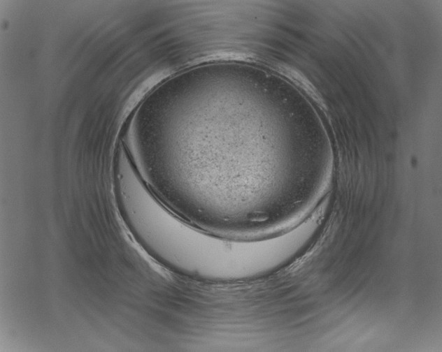 X0000068900898200605081342