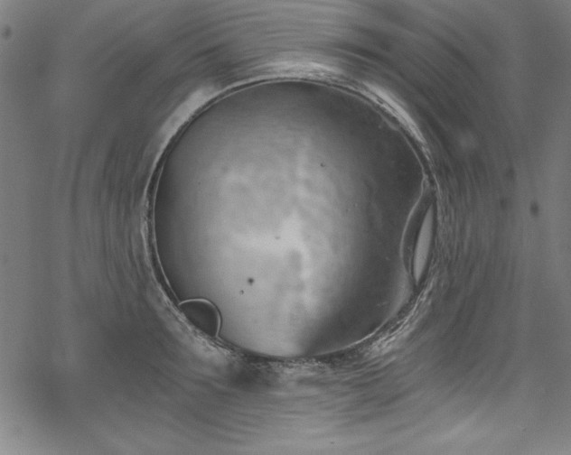 X0000068900899200605081342