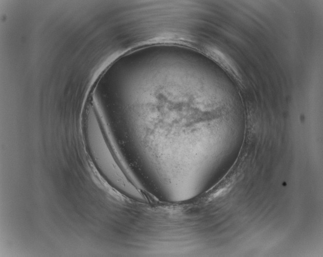 X0000068900900200605081342