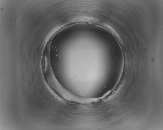 X0000068900901200605081342