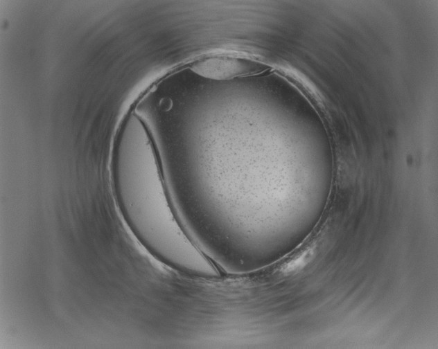 X0000068900902200605081342