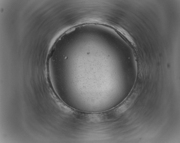 X0000068900904200605081342