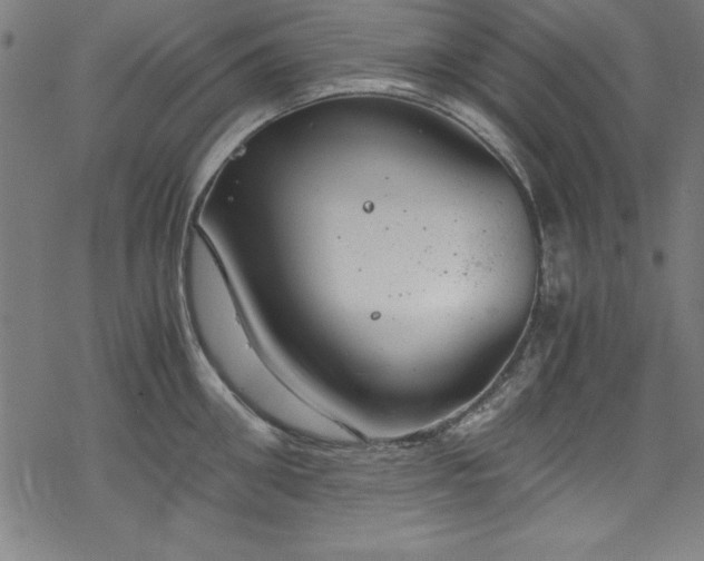 X0000068900906200605081342