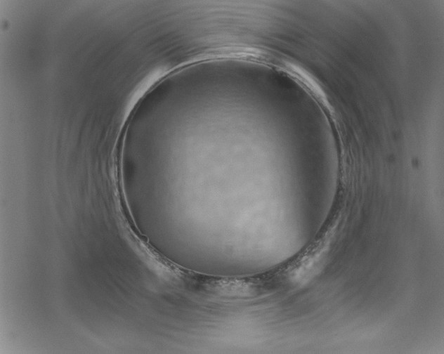 X0000068900907200605081342