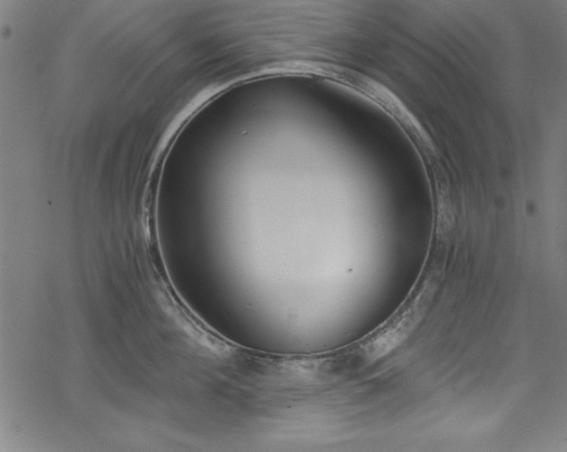 X0000068900908200605081342