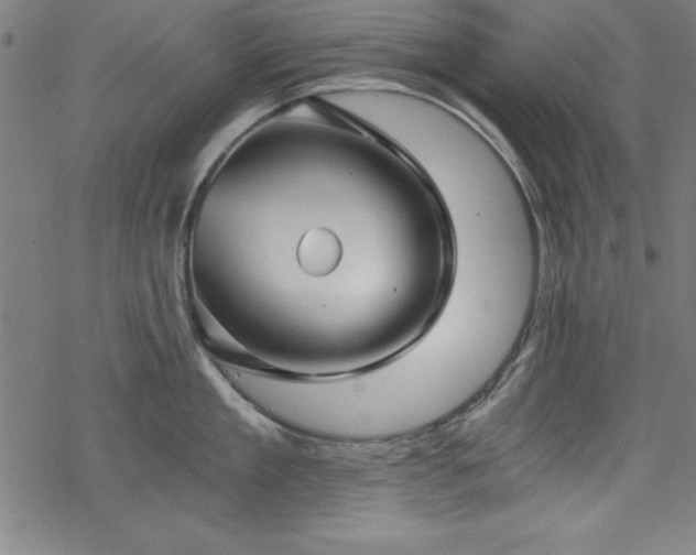 X0000068900909200605081342