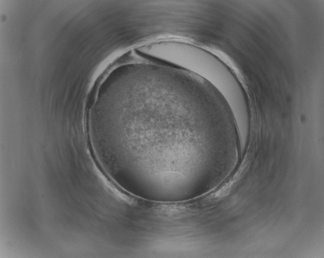 X0000068900910200605081342