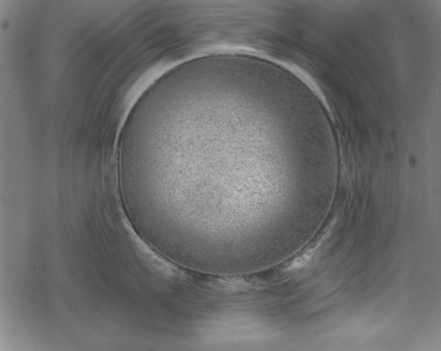 X0000068900911200605081342