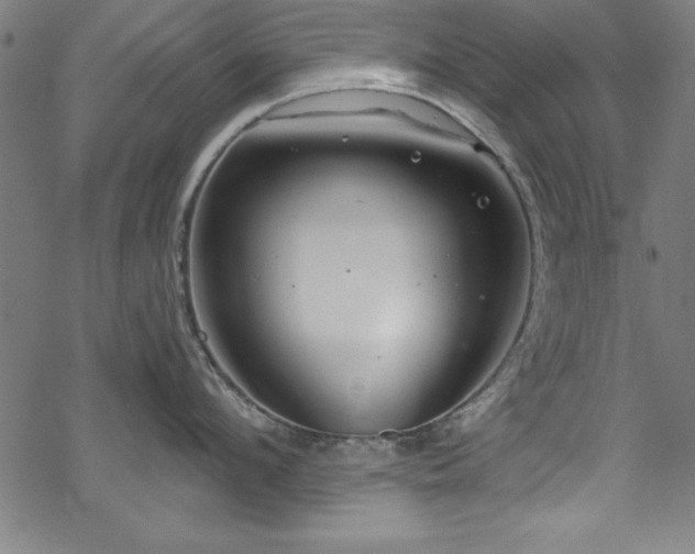 X0000068900912200605081342