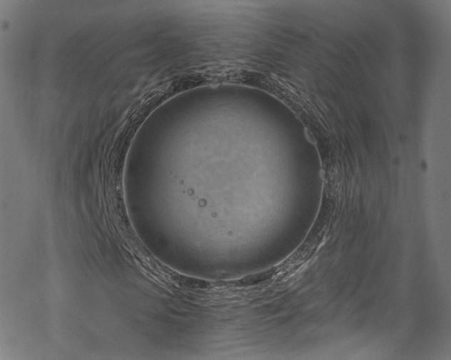 X0000068900913200605081341