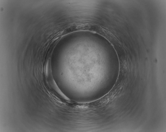 X0000068900914200605081341