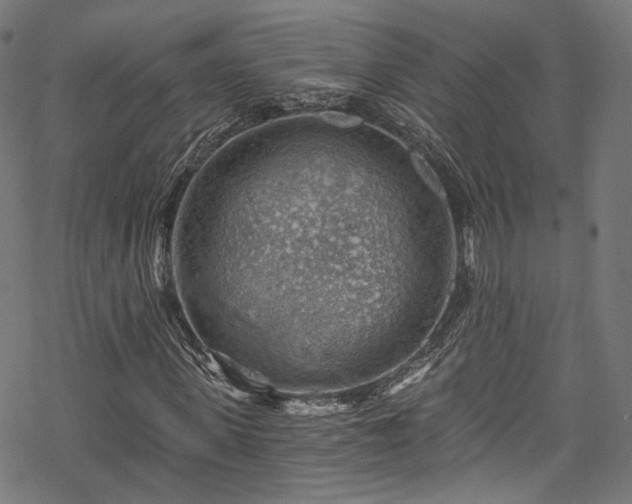 X0000068900915200605081341