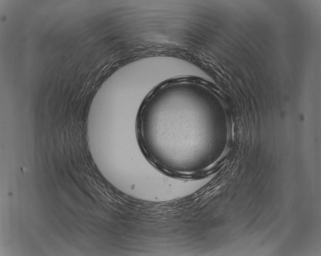 X0000068900916200605081341