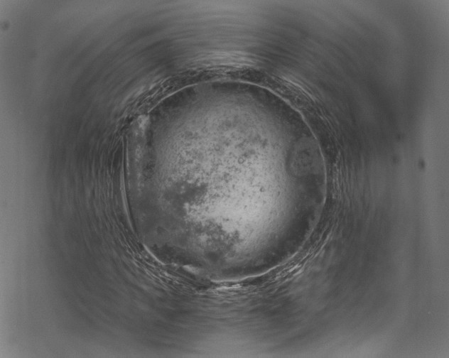 X0000068900917200605081341