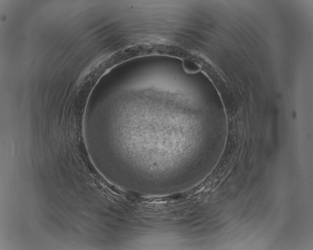 X0000068900919200605081341