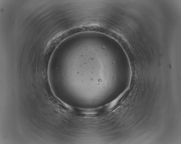 X0000068900920200605081341