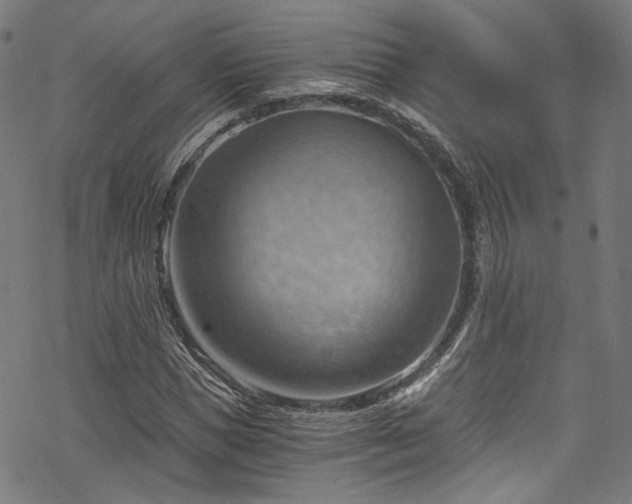 X0000068900921200605081341