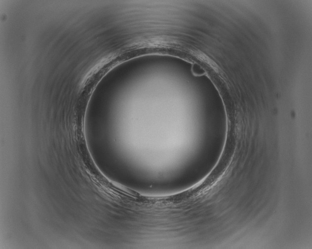 X0000068900922200605081341