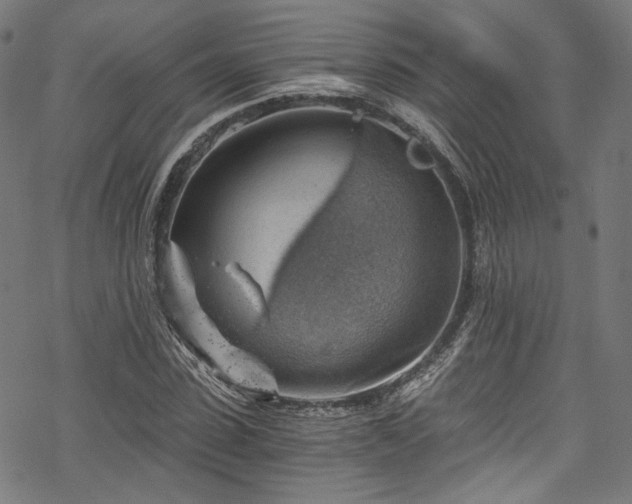 X0000068900923200605081341