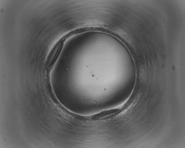 X0000068900926200605081341