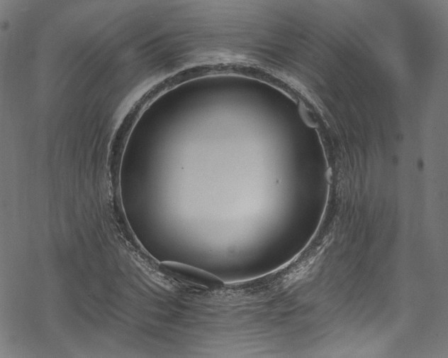 X0000068900927200605081341