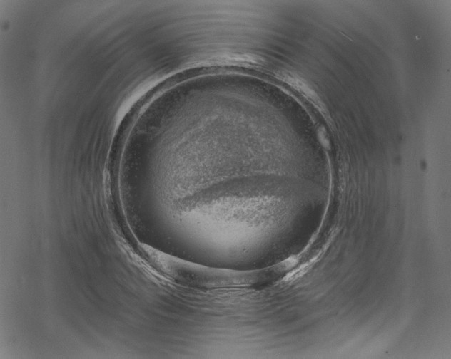 X0000068900928200605081341