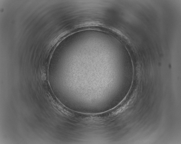 X0000068900929200605081341