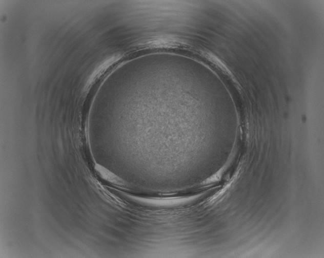 X0000068900930200605081341