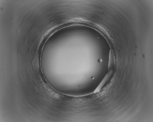 X0000068900931200605081341