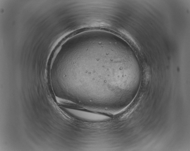 X0000068900932200605081342