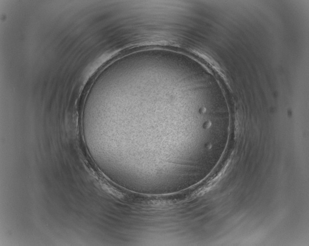 X0000068900933200605081342