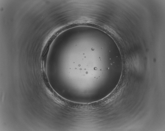 X0000068900934200605081342