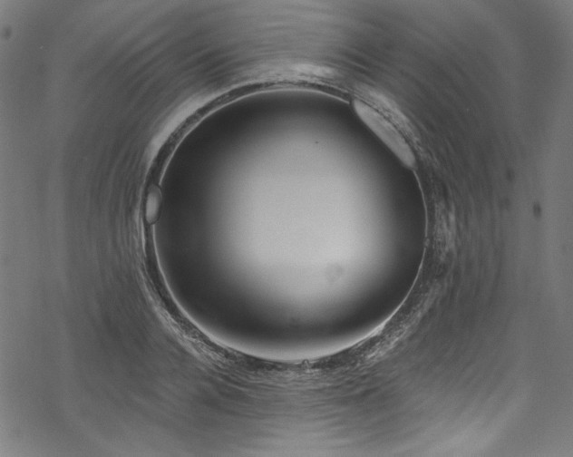 X0000068900936200605081342