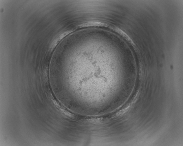 X0000068900937200605081342