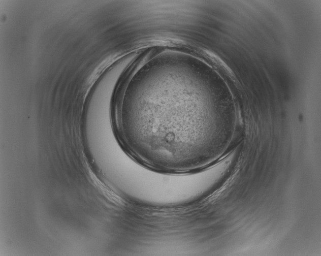 X0000068900938200605081342