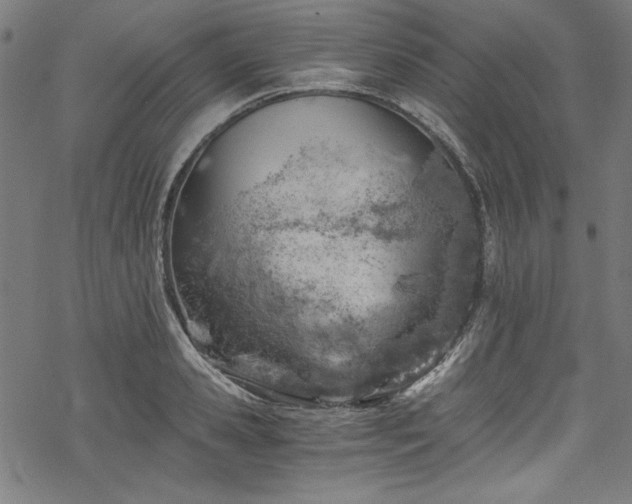 X0000068900941200605081342