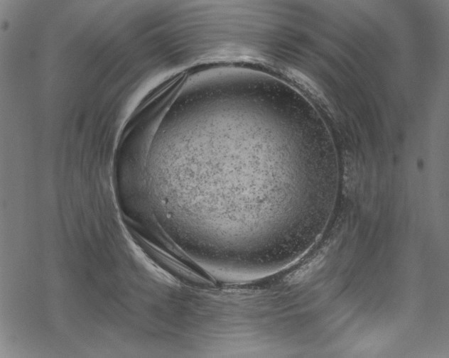 X0000068900942200605081342