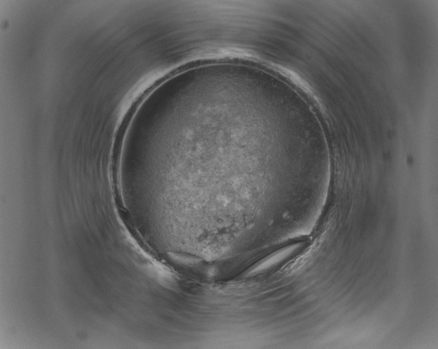 X0000068900943200605081342