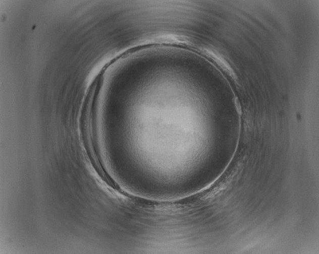 X0000068900944200605081342