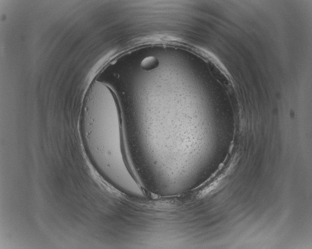 X0000068900946200605081342