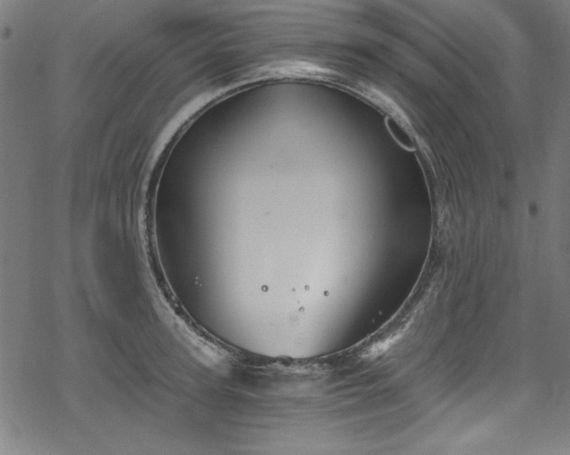 X0000068900947200605081342