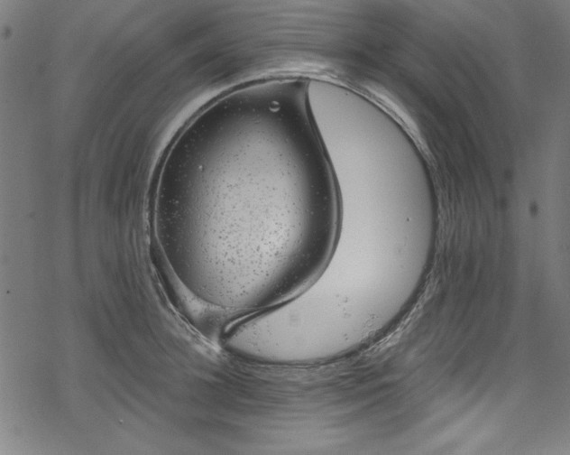 X0000068900948200605081342