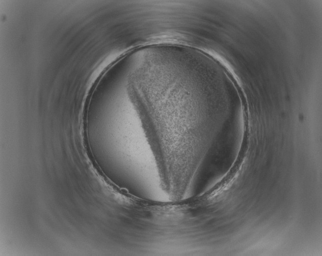 X0000068900949200605081342