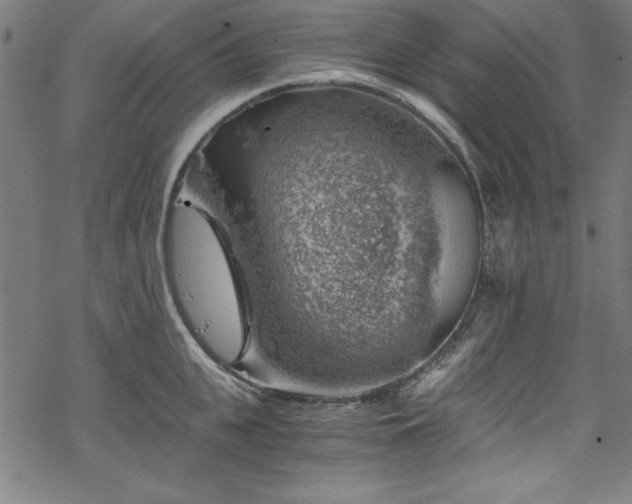 X0000068900951200605081342