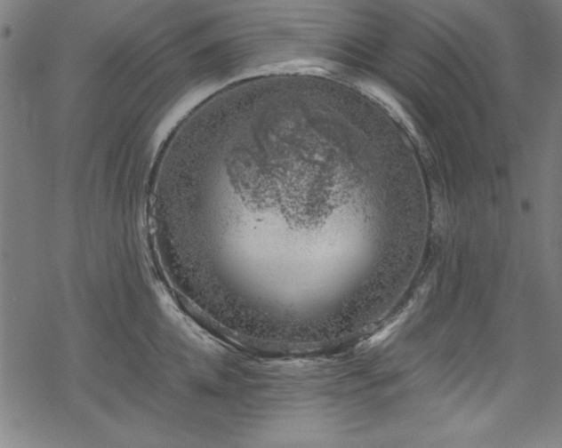 X0000068900952200605081342