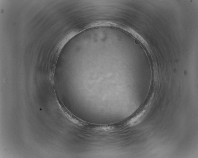 X0000068900953200605081342