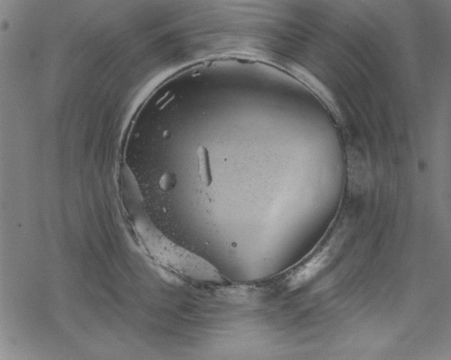 X0000068900956200605081342