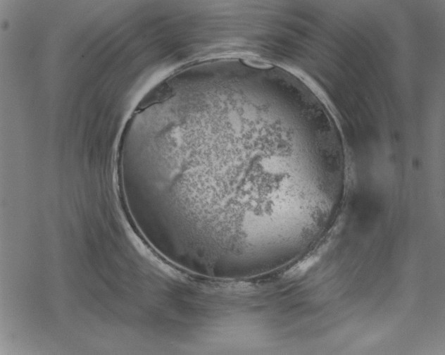 X0000068900957200605081342